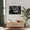 Cute European Shorthair Cat Poster