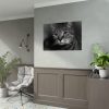 Cute European Shorthair Cat Poster