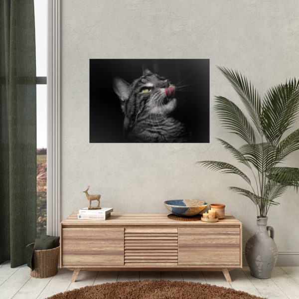 Cute Striped Cat Poster