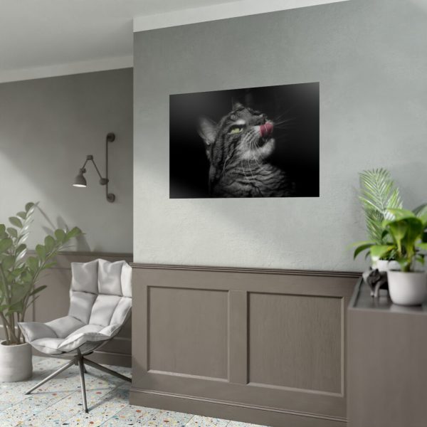 Cute Striped Cat Poster