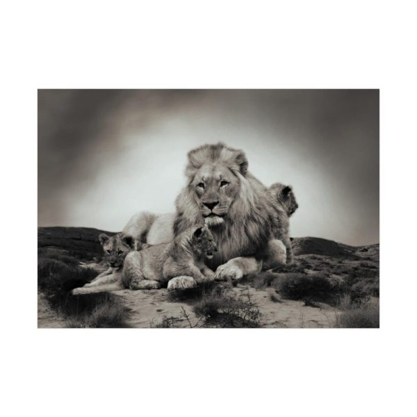 Lion with Cubs Poster