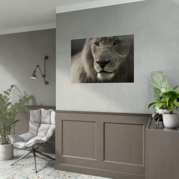 Lion King Face Poster
