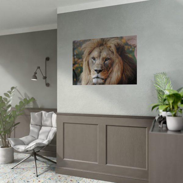 Lion Face Closeup Poster