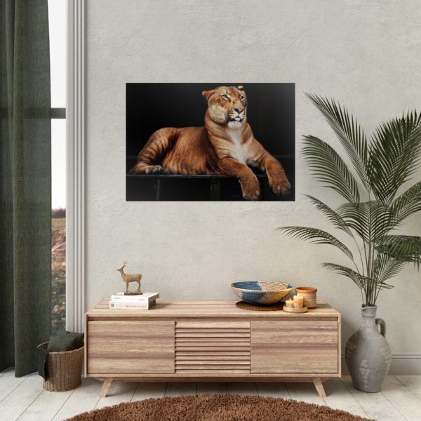 Hercules the Liger Poster