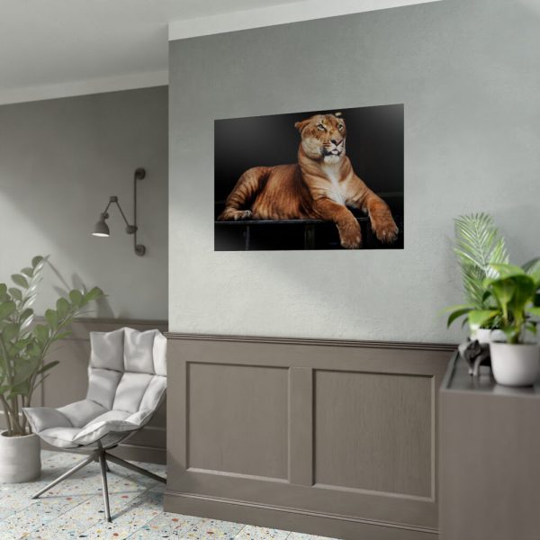 Hercules the Liger Poster