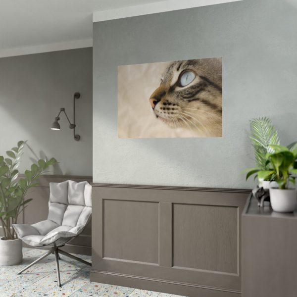 92409-451.jpg Cat with Large Blue Eye Poster