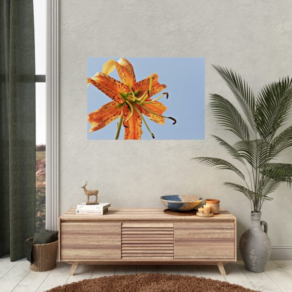 Lily Flower Poster