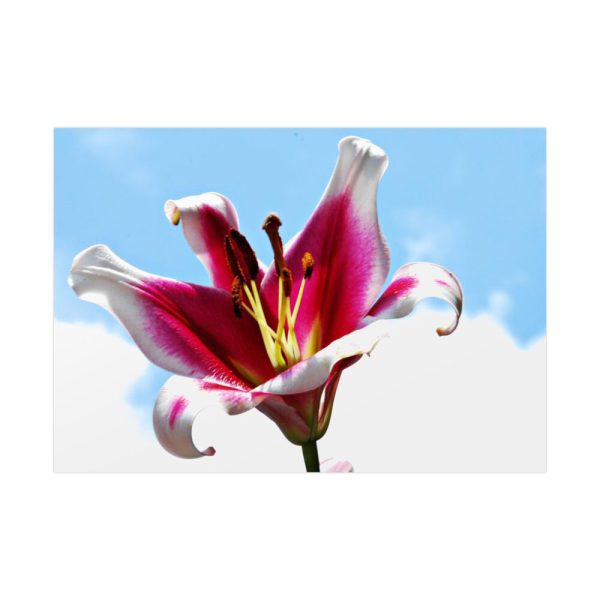 92409-458.jpg Garden Lily Poster
