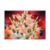 Lilies Salmon Lirios Flowers Poster