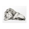 92409-48.jpg Lying Lion by Jean Bernard Poster