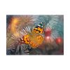 92409-485.jpg Butterfly Admiral Insect Poster