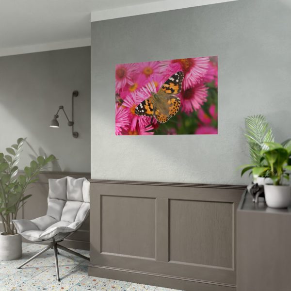 92409-490.jpg Butterfly on Pink Flower Poster