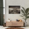92409-507.jpg Lioness with Cubs Poster