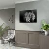Barbary Lion Face Closeup Poster