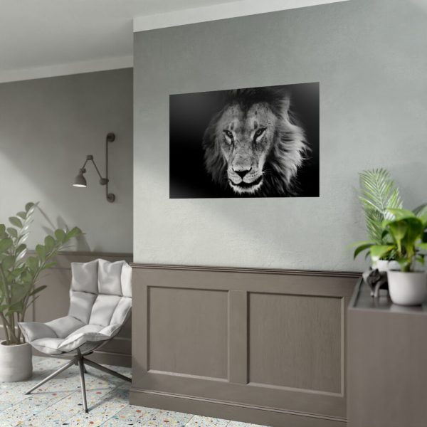 Barbary Lion Face Closeup Poster