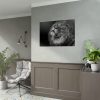 Male Lion Head Closeup Poster