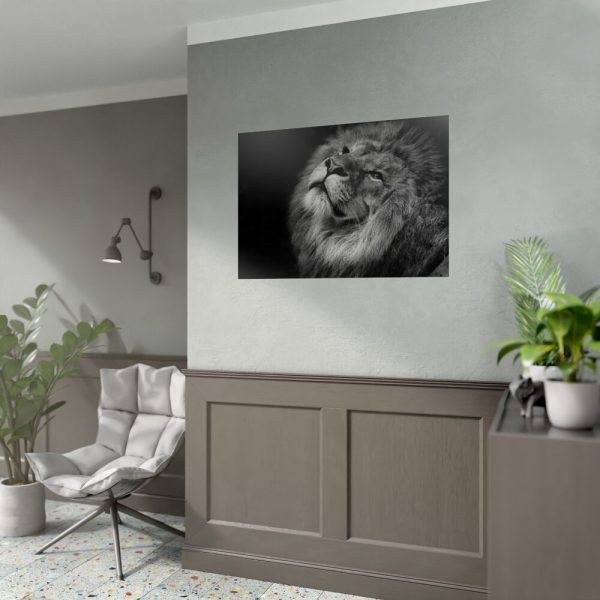 Male Lion Head Closeup Poster