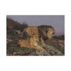 92409-54.jpg The Lion’s Domain by Geza Vastagh Poster