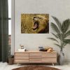 92409-58.jpg Lion Roar Wild Life Poster