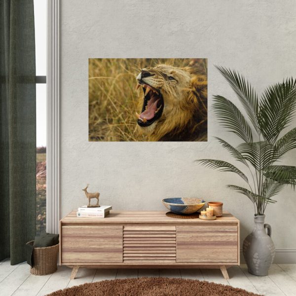 92409-58.jpg Lion Roar Wild Life Poster