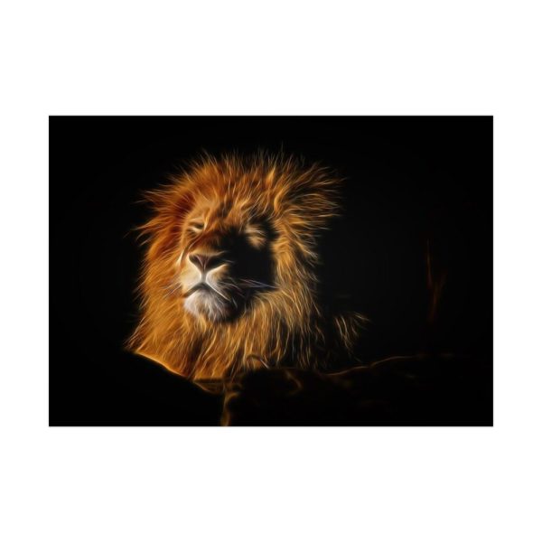 Wild Lion Poster