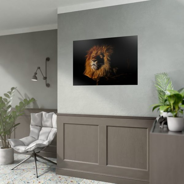 Wild Lion Poster