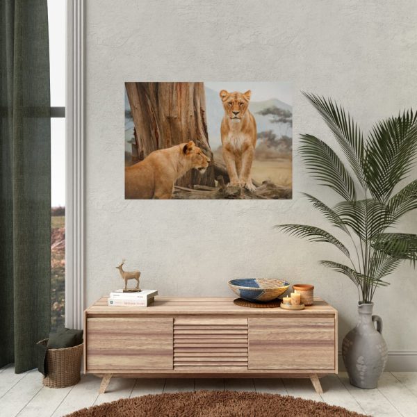 Female Lion Poster