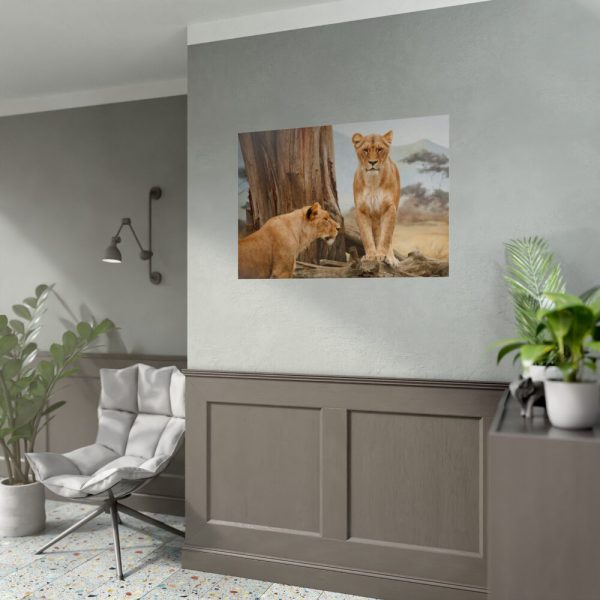 Female Lion Poster
