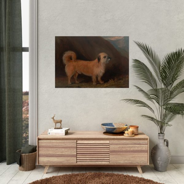 92409-99.jpg A Dandie Dinmont Terrier Poster