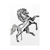 92410-198.jpg Horse Poster