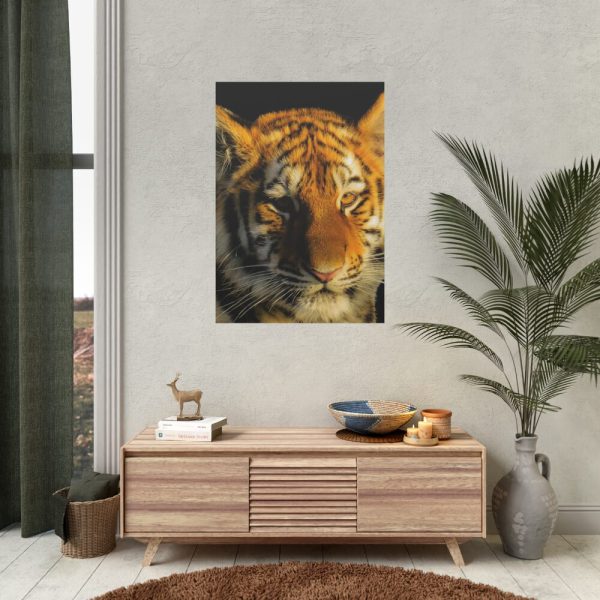 Tiger Look Poster