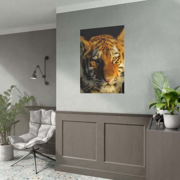 Tiger Look Poster