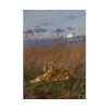 92410-237.jpg A Tiger Among Rushes In The Moonlight Poster