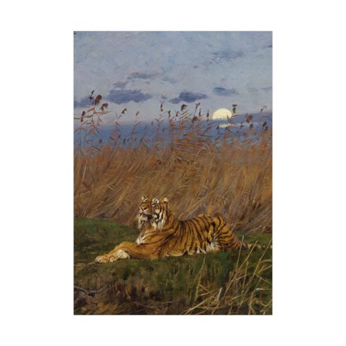 A Tiger Among Rushes In The Moonlight Poster