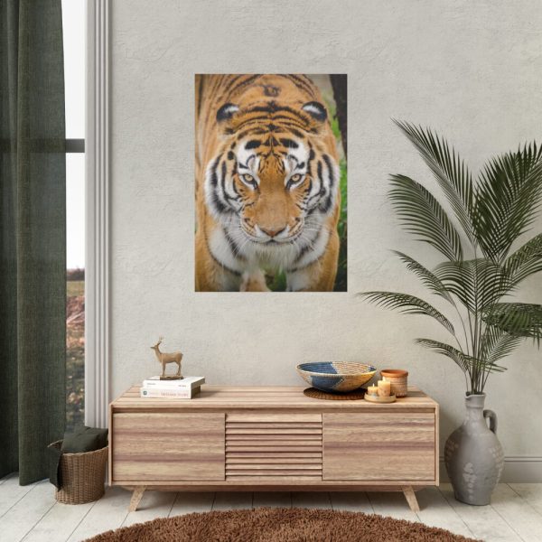 Siberian Tiger Poster