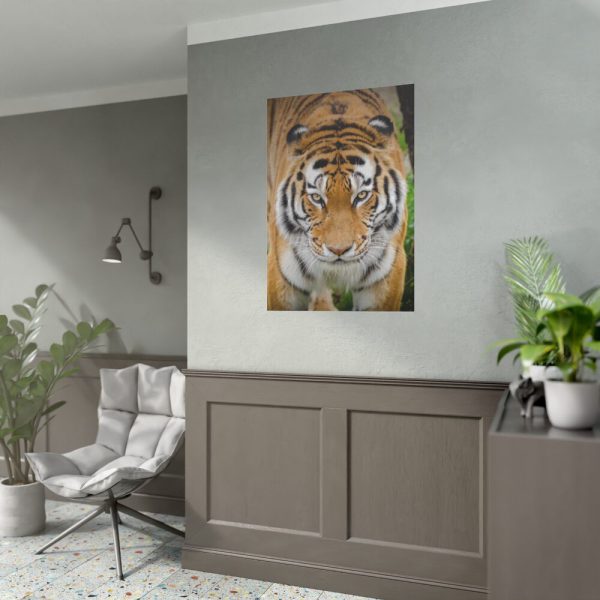 Siberian Tiger Poster