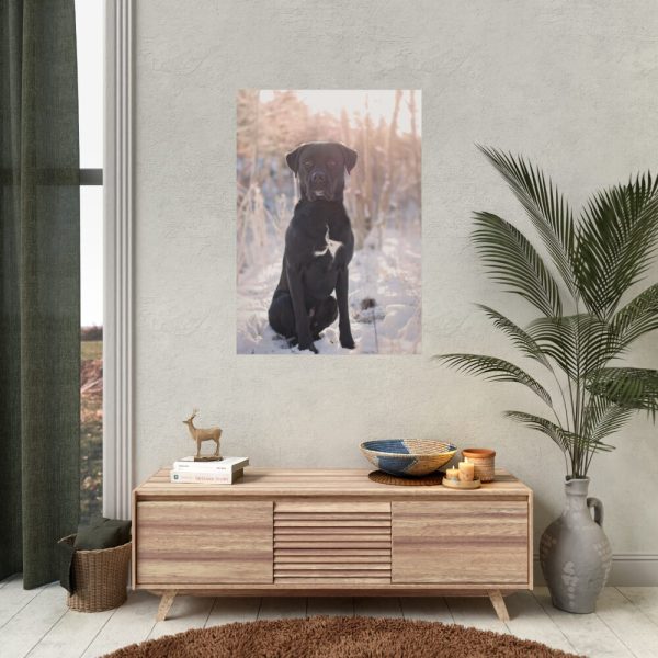 92410-256.jpg Black Dog Sitting on Snow Poster