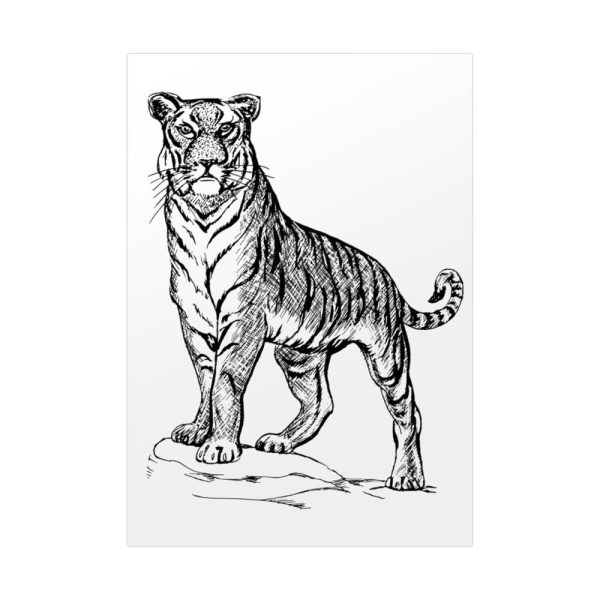 92410-282.jpg Vintage Tiger Animal Illustration Poster