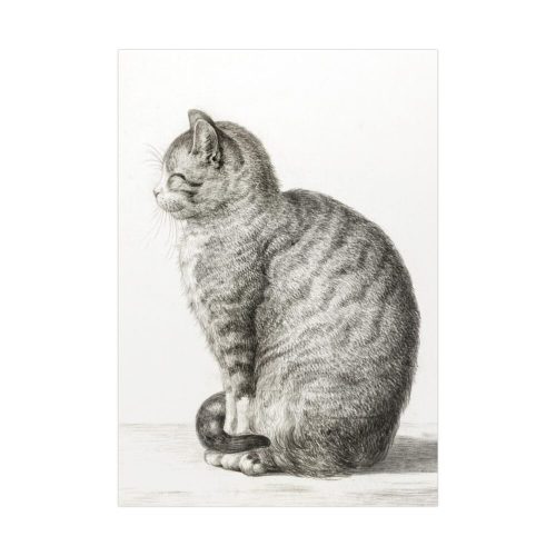 Sitting cat by Jean Bernard Poster
