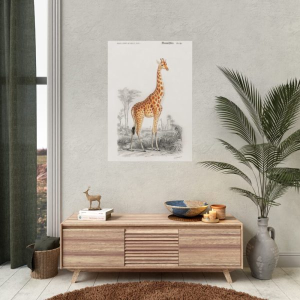92410-289.jpg Giraffe (Giraffa Camelopardalis) Poster
