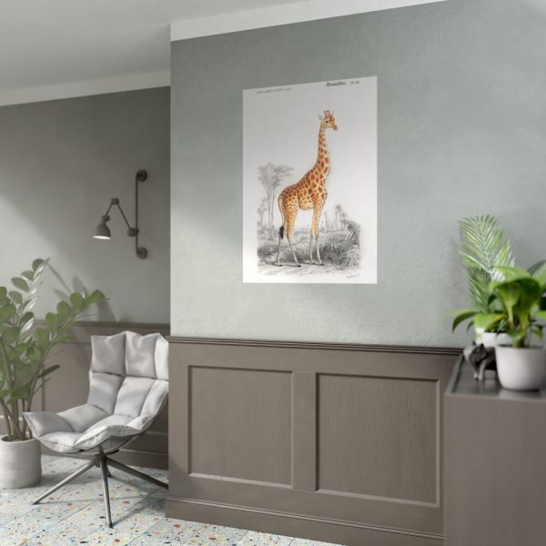 92410-290.jpg Giraffe (Giraffa Camelopardalis) Poster