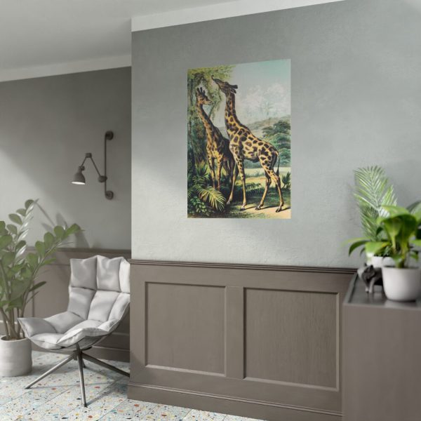 92410-293.jpg Giraffe from Johnson's Household Book of Nature by John Karst Poster