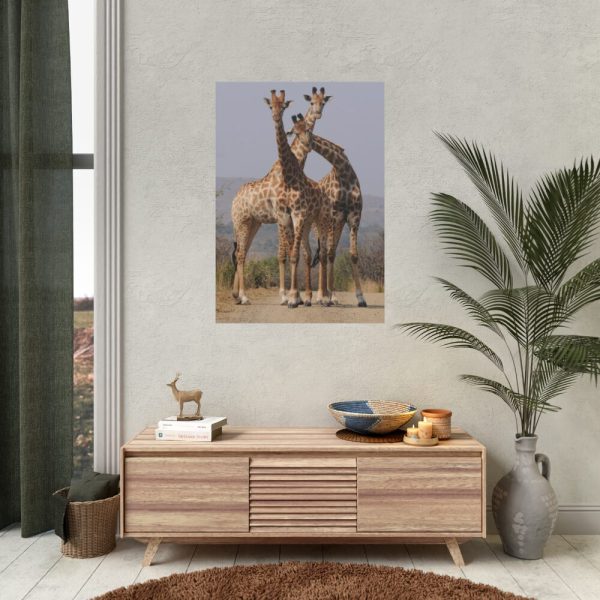 92410-298.jpg Giraffe Family Poster