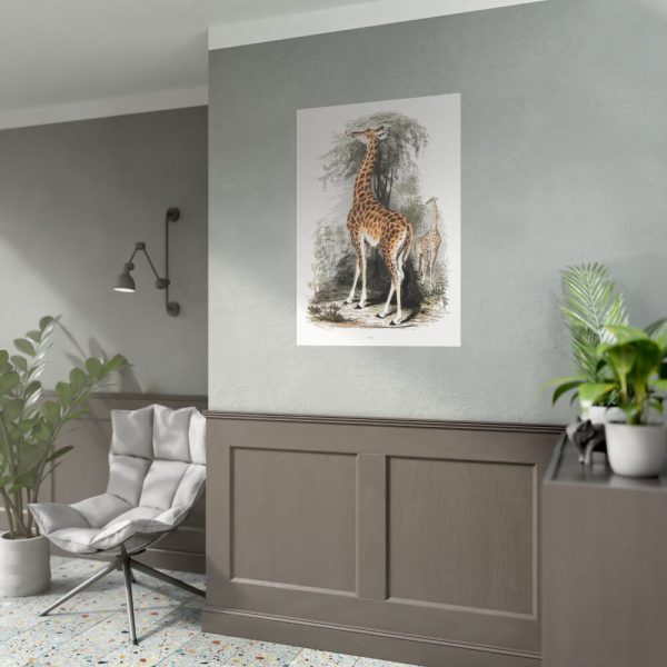 92410-302.jpg Vintage Illustration by Georges Cuvier Poster