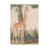 92410-303.jpg Study of the Giraffe by Nicolas Hüet Poster