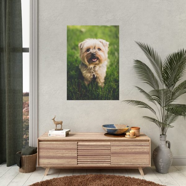 Little Puppy on the Grass Poster
