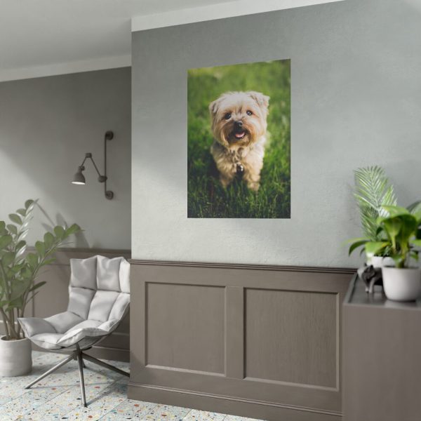 Little Puppy on the Grass Poster