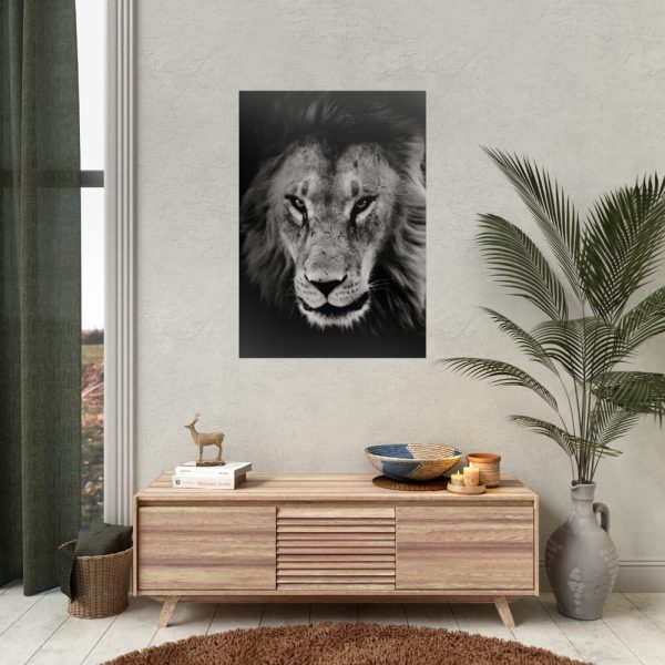 92411-13.jpg Lions in the Grass Poster