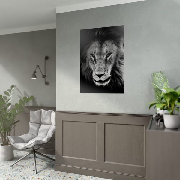 92411-14.jpg Lions in the Grass Poster