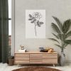 92411-195.jpg Rose Illustration Poster